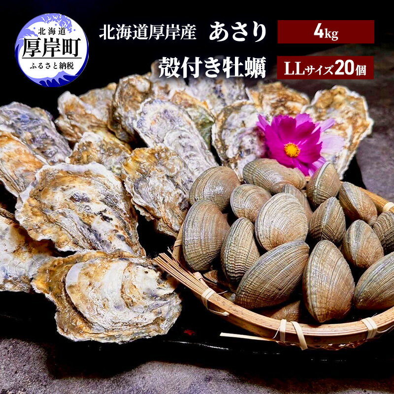 【ふるさと納税】北海道 厚岸産 あさり4kg 殻付き 牡蠣...