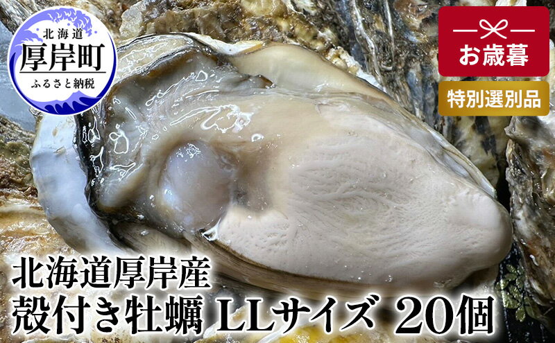 【ふるさと納税】北海道 厚岸産 殻付き 牡蠣 LLサイズ 20個 お歳暮 特別選別品　【 魚貝類 生牡蠣 海鮮 海の幸 海産物 ふっくら 濃厚 甘み オイスター 生食用殻付カキ 生食用 】　お届け：2024年12月～20日