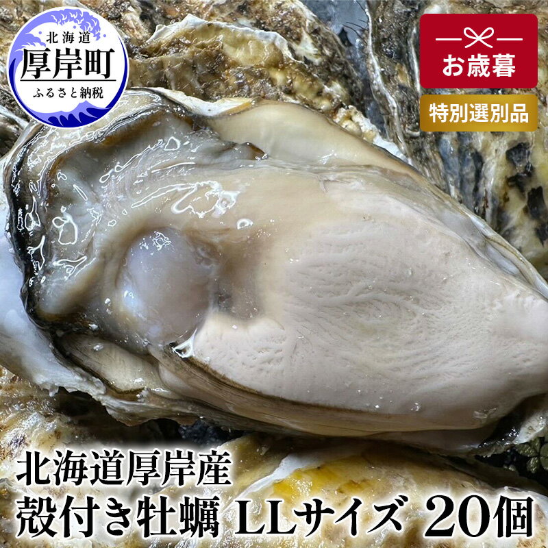 【ふるさと納税】北海道 厚岸産 殻付き 牡蠣 LLサイズ 20個 お歳暮 特別選別品　【 魚貝類 生牡蠣 海鮮 海の幸 海産物 ふっくら 濃厚 甘み オイスター 生食用殻付カキ 生食用 】　お届け：2024年12月～20日