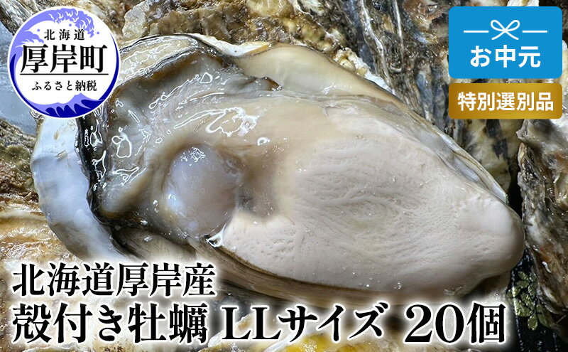 【ふるさと納税】北海道 厚岸産 殻付き 牡蠣 LLサイズ 20個 お中元 特別選別品　【 魚貝類 生牡蠣 海鮮 海の幸 海産物 ふっくら 濃厚 甘み オイスター 生食用殻付カキ 生食用 】　お届け：2024年7月15日～8月15日