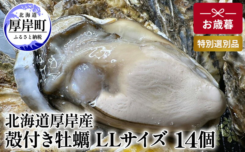 【ふるさと納税】北海道 厚岸産 殻付き 牡蠣 LLサイズ 14個 お歳暮 特別選別品　【 魚貝類 生牡蠣 海鮮 海の幸 海産物 ふっくら 濃厚 甘み オイスター 生食用殻付カキ 生食用 】　お届け：2024年12月～20日