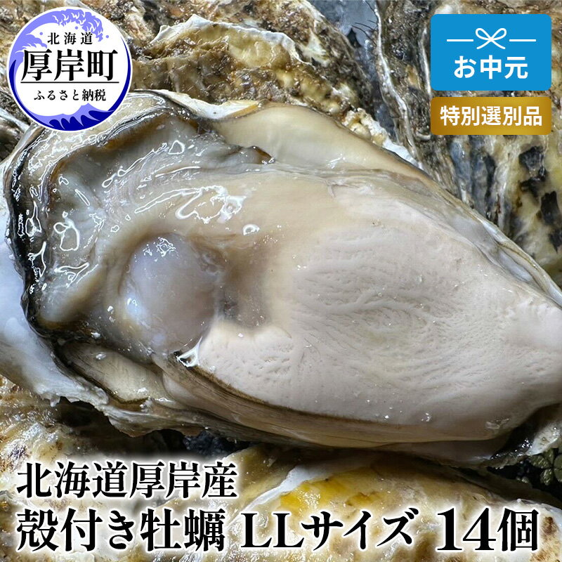 北海道 厚岸産 殻付き 牡蠣 LLサイズ 14個 お中元 特別選別品 魚貝類 生牡蠣 海鮮 海の幸 海産物 ふっくら 濃厚 甘み オイスター 生食用殻付カキ 生食用 お届け:2025年7月15日〜8月15日