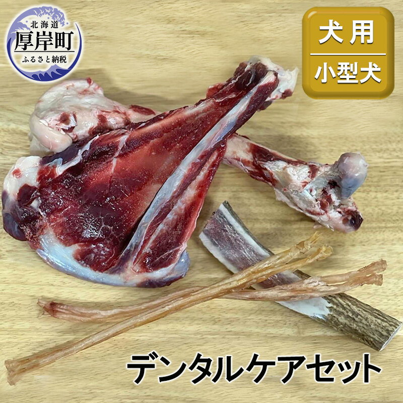 8位! 口コミ数「0件」評価「0」犬用 デンタルケアセット 小型犬　【鹿肉】