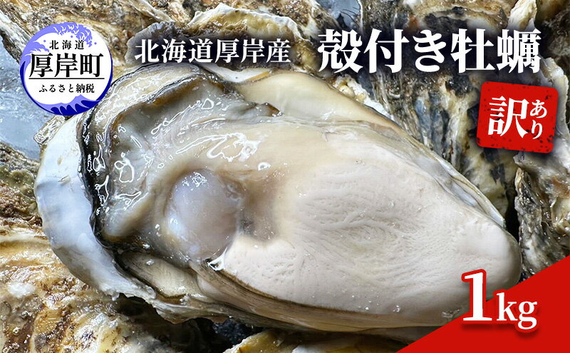 【ふるさと納税】訳あり 北海道 厚岸産 殻付き 牡蠣 1kg　【 魚貝類 生牡蠣 海の幸 海鮮 オイスター 濃厚な甘み グルメ 】