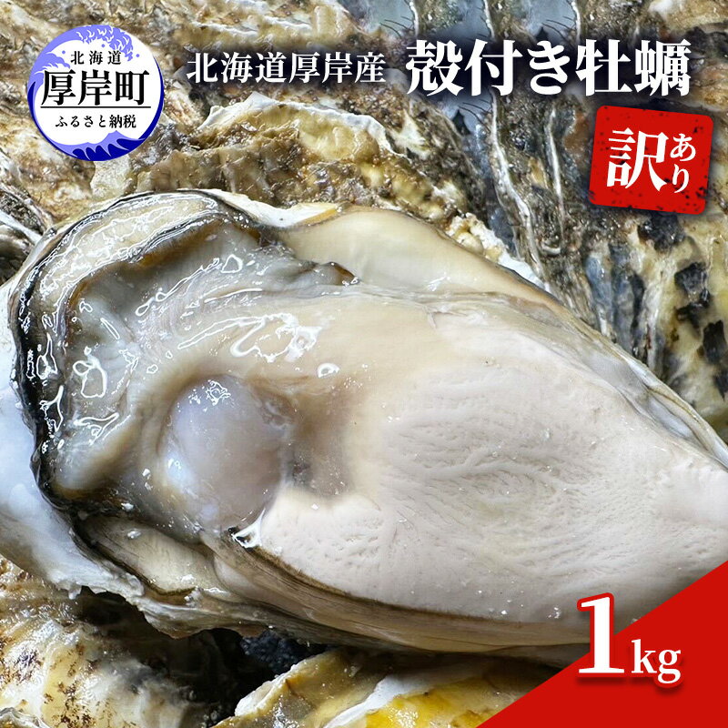 【ふるさと納税】訳あり 北海道 厚岸産 殻付き 牡蠣 1kg　【 魚貝類 生牡蠣 海の幸 海鮮 オイスター 濃厚な甘み グルメ 】