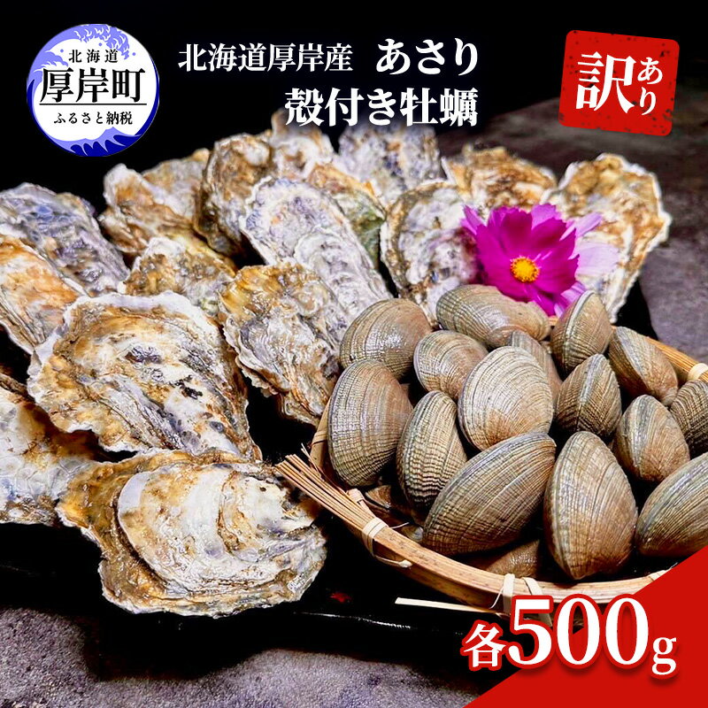 訳あり 北海道 厚岸産 あさり 殻付き牡蠣 各500g　　お届け：2024年3月～6月末、2024年10月～11月末まで