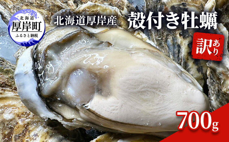 【ふるさと納税】訳あり 北海道 厚岸産 殻付き 牡蠣 700g　【 魚貝類 生牡蠣 海の幸 海鮮 オイスター 濃厚な甘み グルメ 】