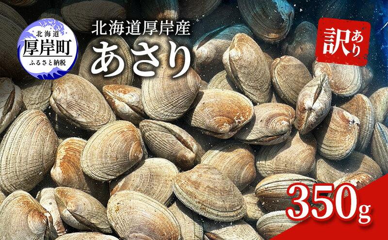 【ふるさと納税】訳あり 北海道 厚岸産 あさり350g　【 魚貝類 海の幸 グルメ 大粒 肉厚 砂抜き済み 】　お届け：2024年3月下旬～6月末、2024年10月～11月末まで