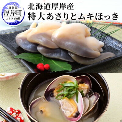 北海道厚岸産 特大 あさり （砂出し済み） ムキほっき セット　【 魚介類 魚介 加工食品 アサリ 】　お届け：2024年1月～5月末まで