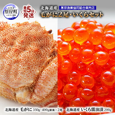 【ふるさと納税】厚岸漁協イチオシ！【3D冷凍】北海道産 毛がに（約350g～400g）2尾・いくら200gセット..