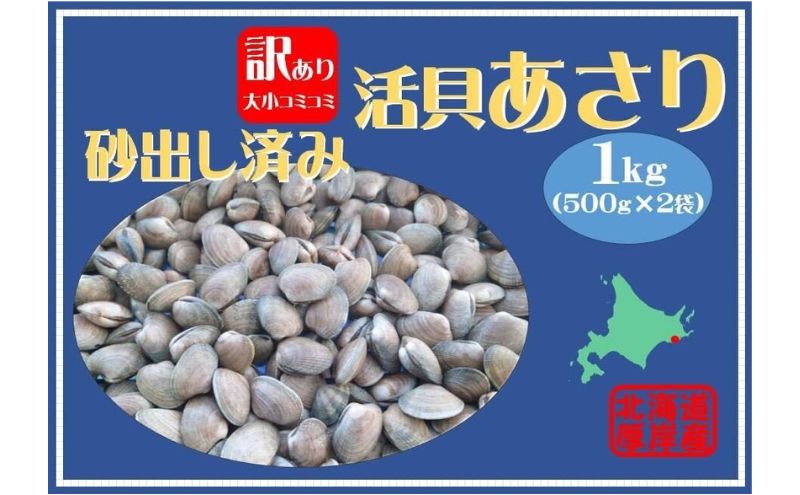 【ふるさと納税】北海道 厚岸産 訳あり 活あさり 500g×2 (合計1kg) アサリ　【 魚貝 海鮮 大粒 美味しい 栄養 旨み 砂出し 水洗い 冷凍保存 便利 】　お届け：2024年7月15日まで