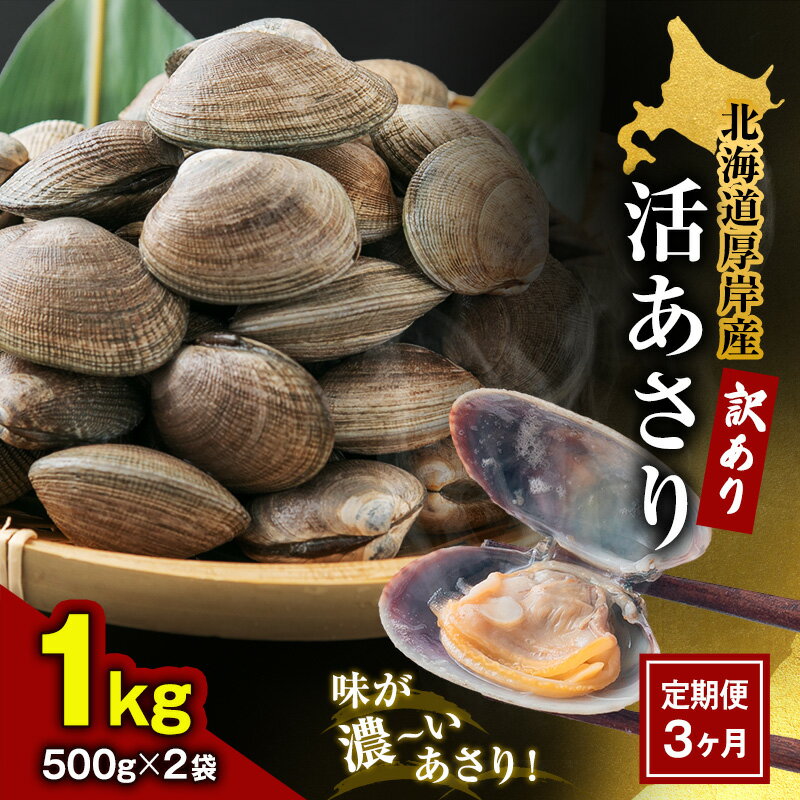 【ふるさと納税】3カ月 定期便 北海道 厚岸産 訳あり 活あさり 500g×2(各月1kg、合計3kg) アサリ　【定期便・ 貝類 海産物 旨み 砂出し済み 厚岸産あさり 】　お届け：2024年7月15日まで