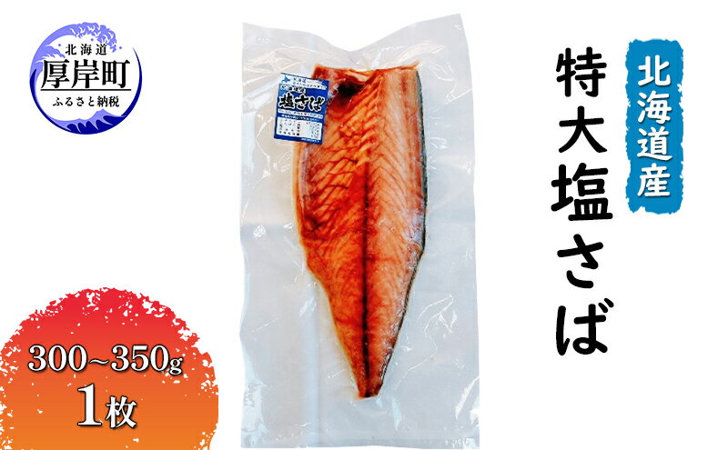 【ふるさと納税】北海道産 特大 塩さば（300～350g）1枚　【 魚貝類 加工食品 海の幸 おかず 肴 魚 朝食 朝ごはん 夕飯 つまみ お酒のあて おかず ご飯のお供 】