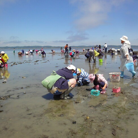 厚岸 あさり掘り 2名様 体験チケット　【厚岸町】　お届け：2024年6月8日まで