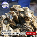 【ふるさと納税】北海道 厚岸町 秋の 牡蠣まつり BBQセット (4から6人程度) 体験チケット お届け:2025年10月1日〜11月5日頃まで