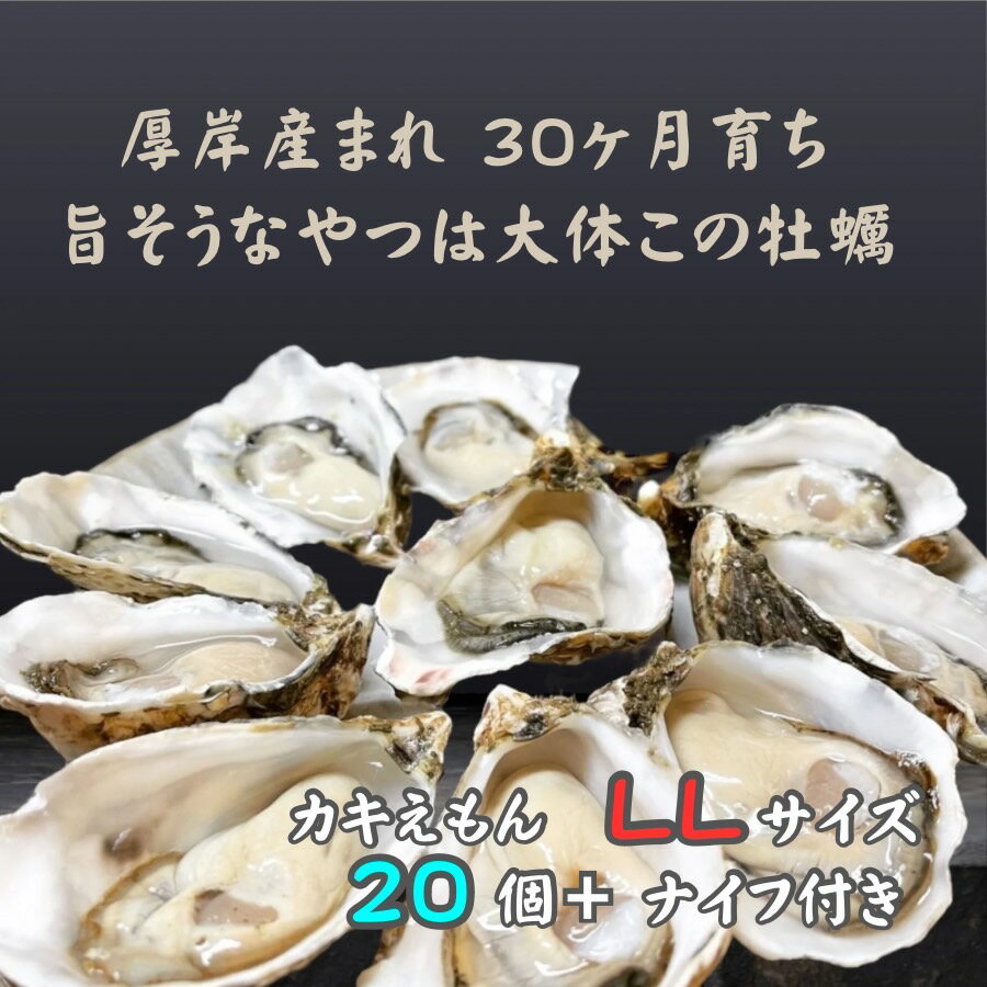 【ふるさと納税】厚岸で産まれ30ヵ月育成 北海道 厚岸産 牡蠣 カキえもん LLサイズ 20個 カキ 　お届け：2025年12月～2026年5月末