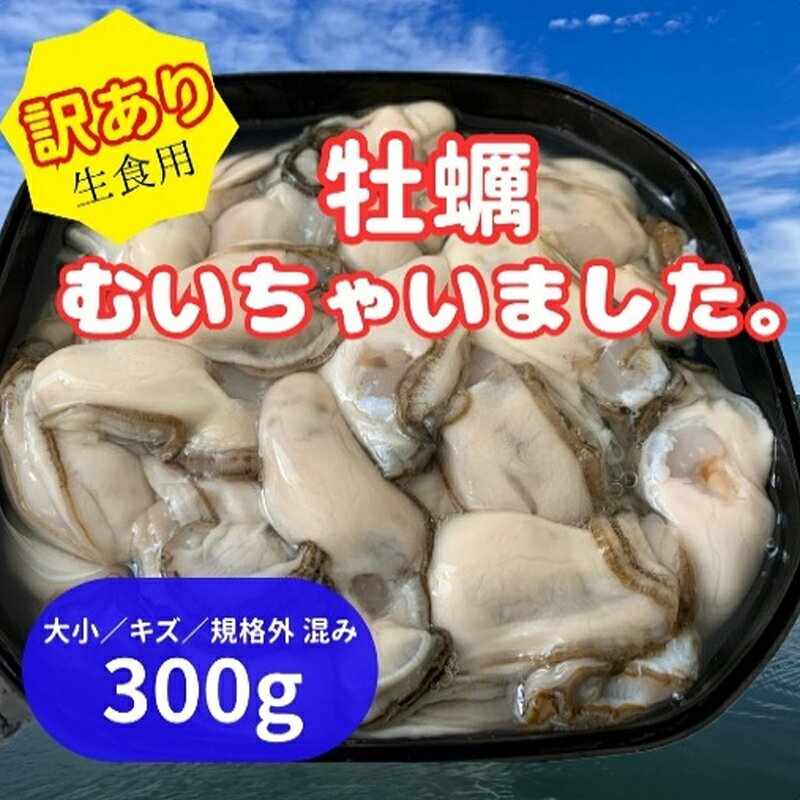 北海道 厚岸産 訳あり 牡蠣むいちゃいました 生食用 300g カキ むき身 牡蠣 [厚岸町] お届け:2025年1月〜7月中旬