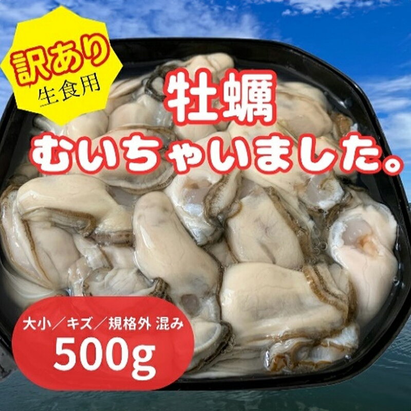 【ふるさと納税】北海道 厚岸産 訳あり 牡蠣むいちゃいました 生食用 500g カキ むき身 牡蠣　【厚岸...