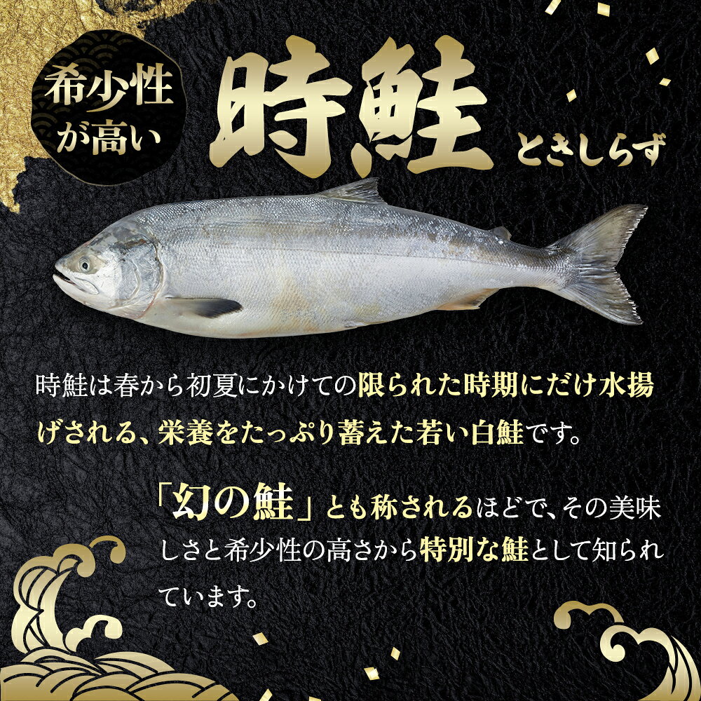 【ふるさと納税】鮭フレーク 時鮭 焼ほぐし身 240g (80g×3) 無添加・無着色 塩のみ【厚岸マルスイ】[ 鮭 ほぐし 魚 サーモン お茶漬け おにぎり チャーハン 米 お弁当 ] f016624-akkeshi-10000822 北海道厚岸町 サンプル画像3