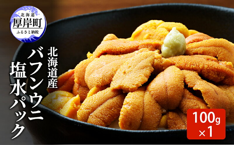 【ふるさと納税】北海道産 バフンウニ 塩水パック 100g×1 雲丹 ウニ うに 新鮮 海産物 冷蔵 濃厚 甘い 国産　お届け：2026年7月～8月末まで