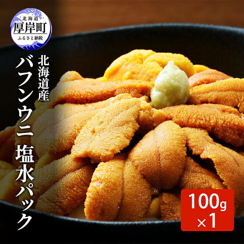 北海道産 バフンウニ 塩水パック 100g×1 雲丹 ウニ うに 新鮮 海産物 冷蔵 濃厚 甘い 国産 お届け:2025年7月〜8月末まで