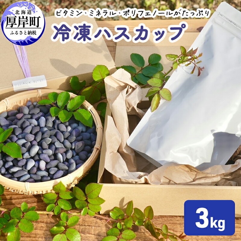 【ふるさと納税】厚岸ハスカ 冷凍 ハスカップ 3kg 果物