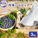 【ふるさと納税】厚岸ハスカ 冷凍ハスカップ 3kg