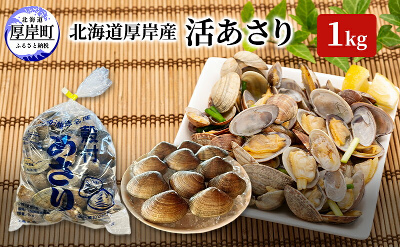 【ふるさと納税】北海道 厚岸産 活あさり 1kg アサリ 貝 魚貝 海鮮 水産物　お届け：2025年9月5日～2026年7月1日まで