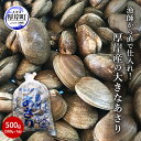 【ふるさと納税】北海道 厚岸産 あさり 500g×1パック (合計500g) 大中混合 アサリ 魚貝 海 美味しい 栄養 旨み 砂出し 水洗い 冷蔵 冷凍保存可能 便利 お届け:2025年9月~2026年7月15日まで