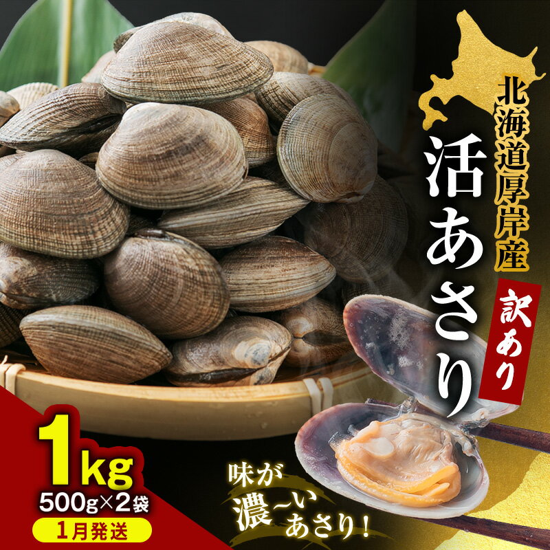 【ふるさと納税】1月発送 北海道 厚岸産 訳あり 活あさり 500g×2 (合計1kg) アサリ 魚貝 海鮮 大粒 美味しい 栄養 旨み 砂出し 水洗い 冷蔵 冷凍保存可能 便利　お届け：2026年1月8日～30日
