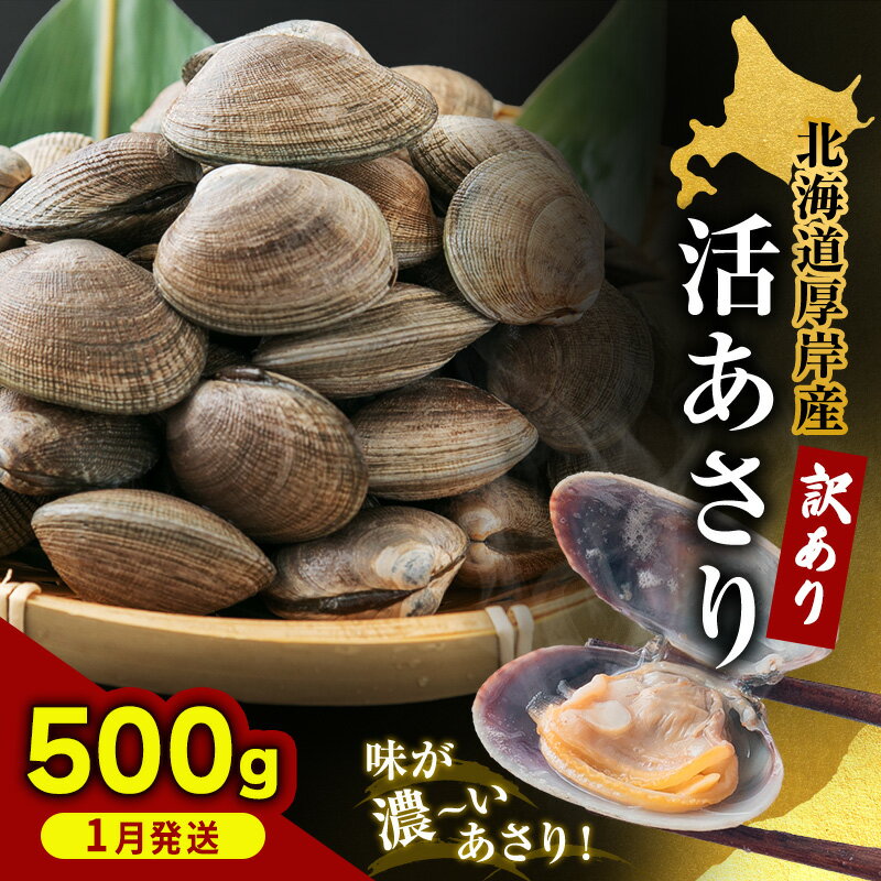 【ふるさと納税】1月発送 北海道 厚岸産 訳あり 活あさり 500g アサリ 魚貝 海鮮 大粒 美味しい 栄養 旨み 砂出し 水洗い 冷蔵 冷凍保存可能 便利　お届け：2026年1月8日～30日