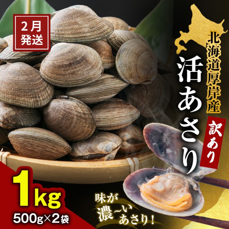 【ふるさと納税】2月発送 北海道 厚岸産 訳あり 活あさり 500g×2 (合計1kg) アサリ 魚貝 海鮮 大粒 美..