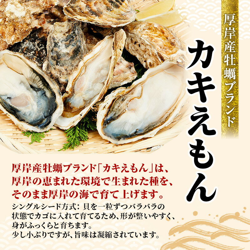 【ふるさと納税】牡蠣 厚岸のブランド牡蠣 食べ比べ 生食用 カキえもん マルえもん Mサイズ 各10個 [ 魚貝類 海鮮 海のミルク 国産 生食用殻付き牡蠣 まろやか クリーミー 食べやすい品種 海の香り 牡蠣の酒蒸し 焼き牡蠣 ]　お届け：2026年11月～12月20日まで f016624-akkeshi-10001064 北海道厚岸町 サンプル画像3