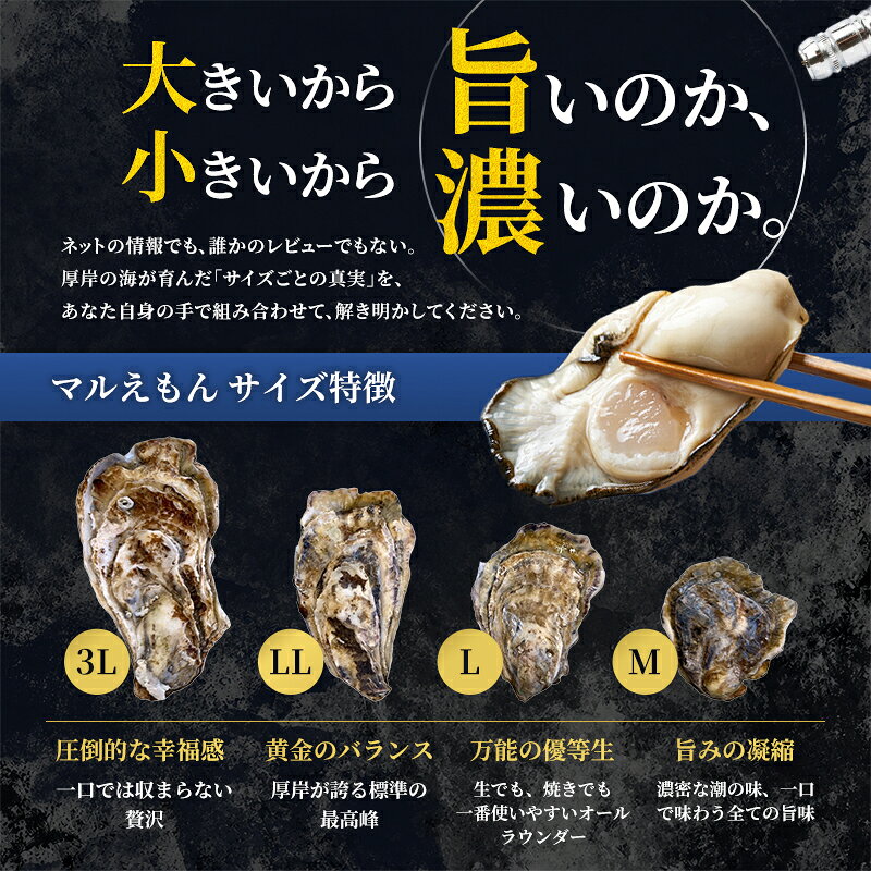 【ふるさと納税】サイズと個数が選べる 厚岸産 ブランド 殻付カキ マルえもん 生食用 サイズ食べ比べ 12個～24個 M～3L 各6個[ 魚貝類 生牡蠣 かき 牡蠣 カキ 生ガキ 食べ比べ ]　お届け：※12月20日～1月8日配送不可