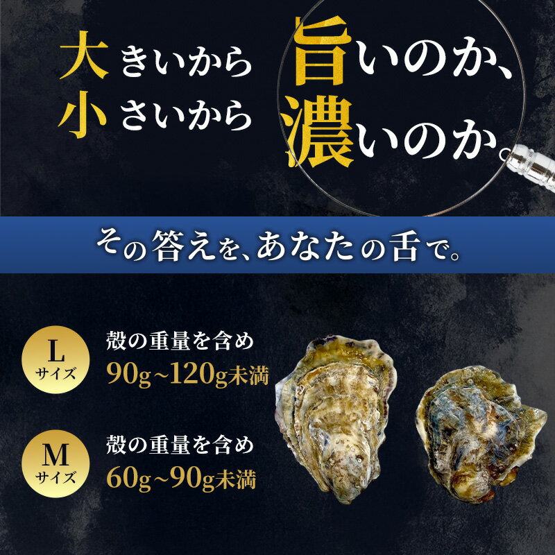 サンプル画像3