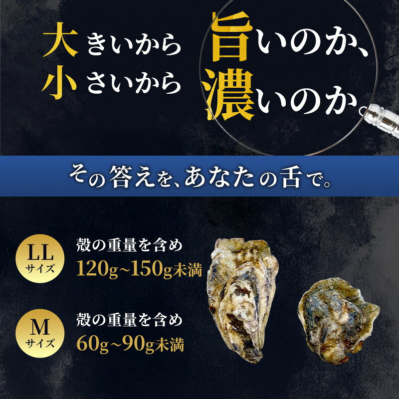 サンプル画像3