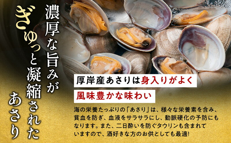 【ふるさと納税】訳あり 北海道 厚岸産 砂出し済み 活あさり 1kg×2 (合計2kg) 【厚岸海産】[ アサリ 魚貝 海鮮 大粒 美味しい 栄養 旨み 砂出し 水洗い 冷蔵 便利 ]　お届け：2026年4月中旬～7月15日まで