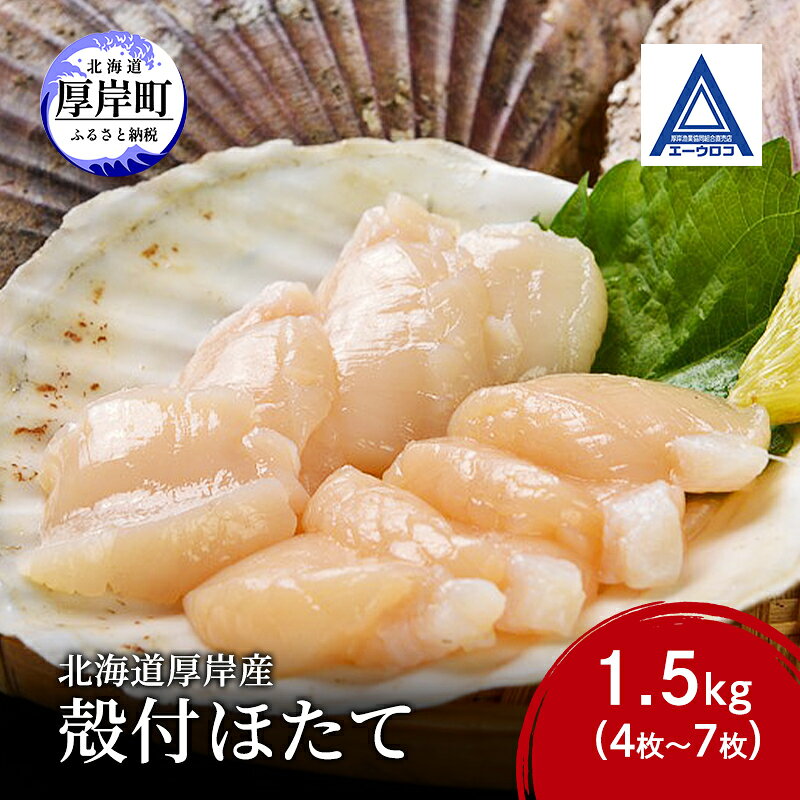 【ふるさと納税】新鮮 北海道 厚岸産 殻付ほたて 1.5kg(4枚～7枚) [ ホタテ 帆立 ほたて 産地直送 貝 バーベキュー ]　お届け：2026年11月上旬～12月上旬