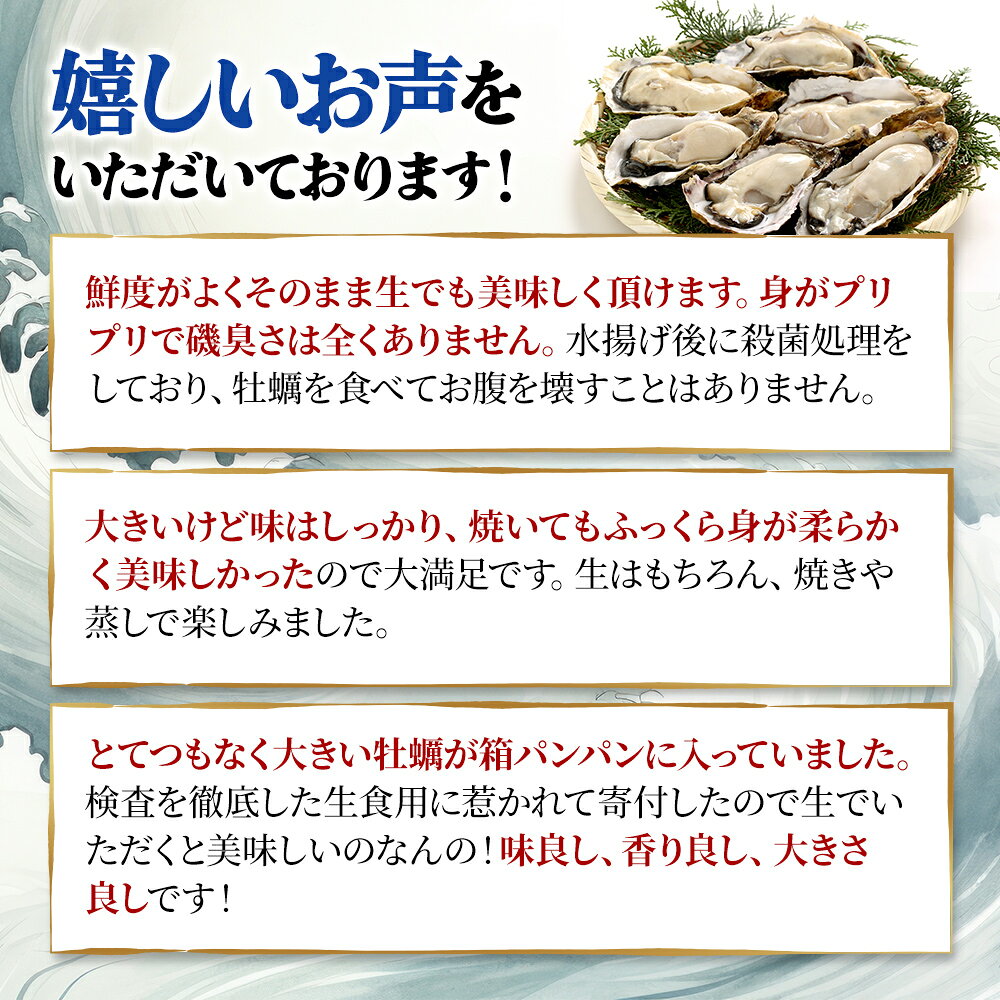 【ふるさと納税】牡蠣 厚岸のブランド牡蠣 マルえもん 3Lサイズ 6個 生食用 魚貝類 海鮮 海のミルク 国産 生食用殻付き牡蠣 まろやか クリーミー 食べやすい品種 海の香り 牡蠣の酒蒸し 焼き牡蠣 マルえもん　お届け：2026年7月～順次出荷