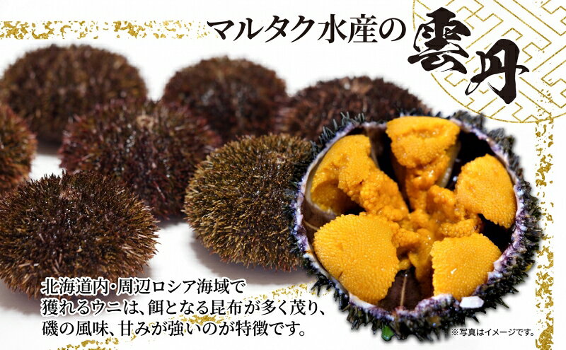 【ふるさと納税】3ヵ月 定期便 うに ロシア産 バフンウニ 塩水パック 100g×1 【マルタク水産】[ 雲丹 ウニ 新鮮 海産物 冷蔵 濃厚 甘い ] 　お届け：2027年2月～6月末まで