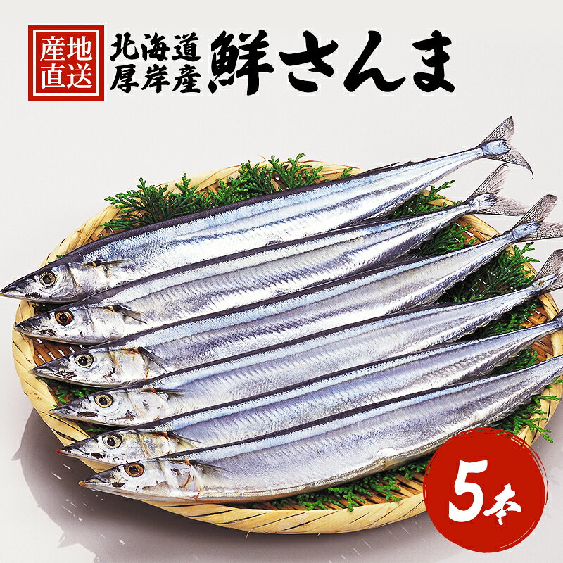 先行予約 産地直送 鮮度抜群 北海道 厚岸産 刺身用 鮮さんま 5本 サンマ 秋刀魚 さんま 鮮魚 魚介類 海産 生さんま お届け:2026年9月下旬〜11月初旬まで