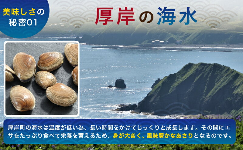 【ふるさと納税】3ヵ月 定期便 あさり 簡単 お手軽 北海道 厚岸産 天然 ブランチング加工 3D 冷凍 大あさり 500g ×3パック 貝 海鮮 魚介類 f016624-akkeshi-10001233 北海道厚岸町 サンプル画像3
