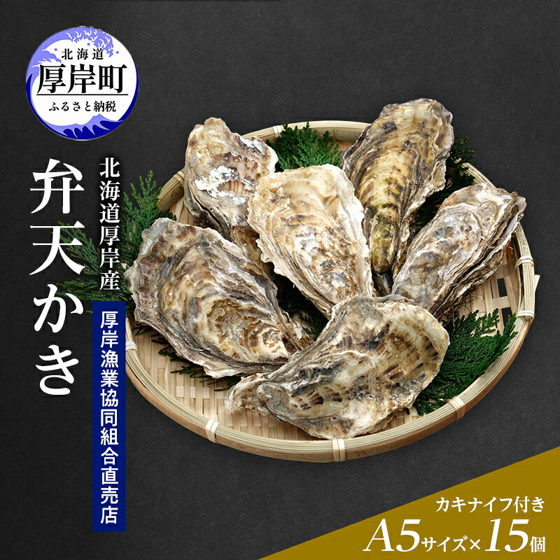 【ふるさと納税】【2月から3月配送】北海道 厚岸産 殻かき 新ブランド弁天かき A5サイズ 特大サイズ 15個 牡蠣 魚貝類 生牡蠣 殻付き牡蠣 カキ　お届け：2027年2月～3月