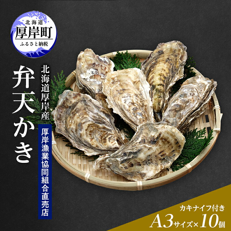 【ふるさと納税】カキ 生食用 北海道 厚岸産 殻かき 新ブランド弁天かき A3サイズ 10個 牡蠣 魚貝類 生牡蠣 殻付き牡蠣 カキ　お届け：2026年11月下旬～2027年6月末まで