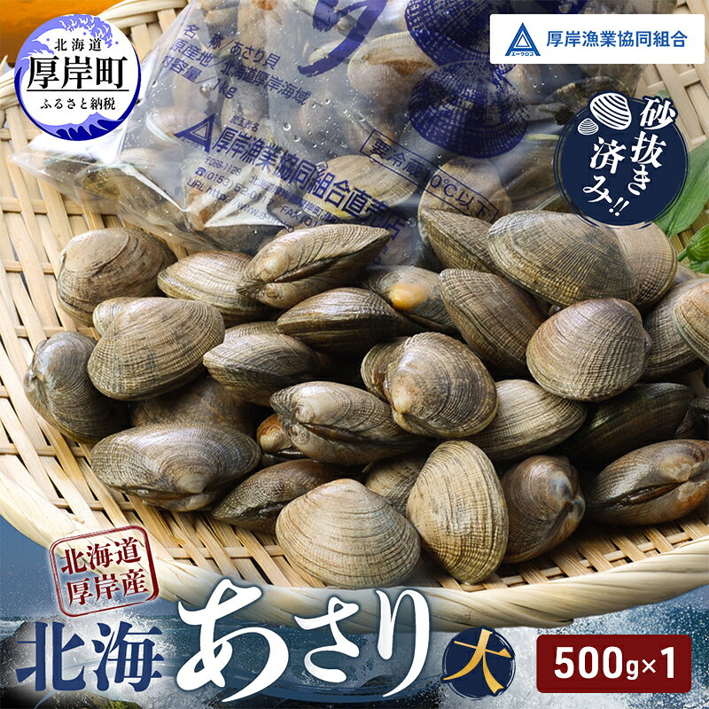 【ふるさと納税】あさり【4月～6月発送】北海道 厚岸町産 天然 殻あさり(大) 500g×1　【厚岸漁業協同組合】[ アサリ 貝 味噌汁 酒蒸し 混ぜご飯 ] 　お届け：2027年4月中旬～6月下旬