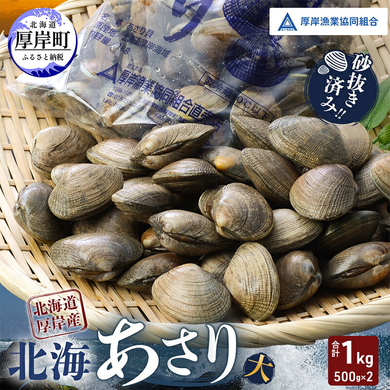 【ふるさと納税】あさり【4月～6月発送】北海道 厚岸町産 天然 殻あさり(大) 500g×2　【厚岸漁業協同組合】[ アサリ 貝 味噌汁 酒蒸し 混ぜご飯 ] 　お届け：2027年4月中旬～6月下旬