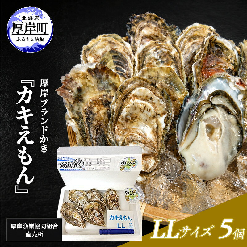 【ふるさと納税】カキ 生食用 北海道 厚岸産 殻かき カキエモン LLサイズ 5個 牡蠣 魚貝類 生牡蠣 殻付き牡蠣 カキ ブランド　お届け：2026年11月下旬～2027年6月下旬まで