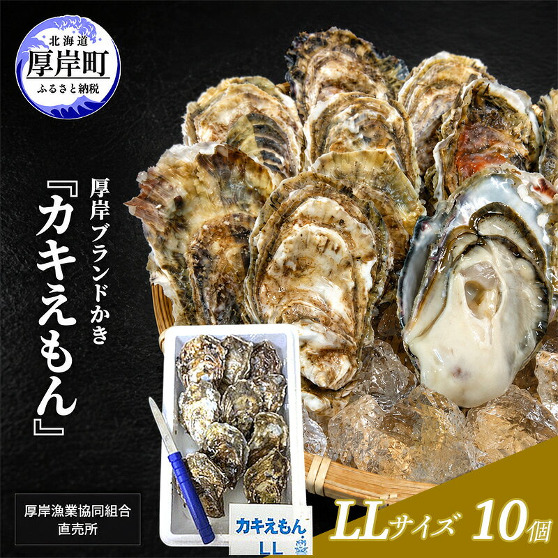 カキ 生食用 北海道 厚岸産 殻かき カキエモン LLサイズ 10個 牡蠣 魚貝類 生牡蠣 殻付き牡蠣 カキ ブランド お届け：2026年11月下旬～2027年6月下旬まで