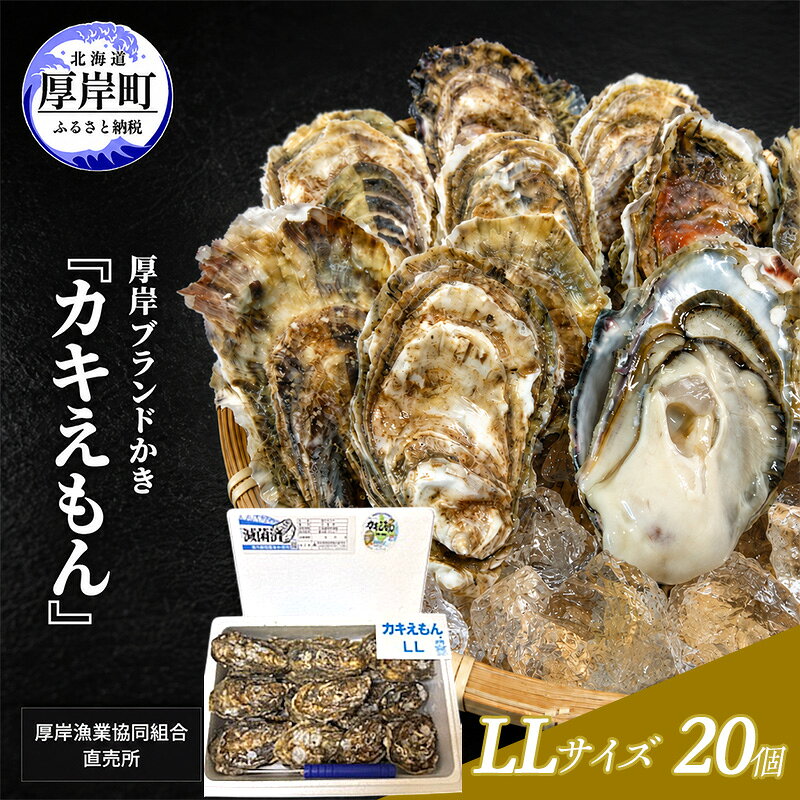 【ふるさと納税】カキ 生食用 北海道 厚岸産 殻かき カキエモン LLサイズ 20個 牡蠣 魚貝類 生牡蠣 殻付き牡蠣 カキ ブランド　お届け：2026年11月下旬～2027年6月下旬まで