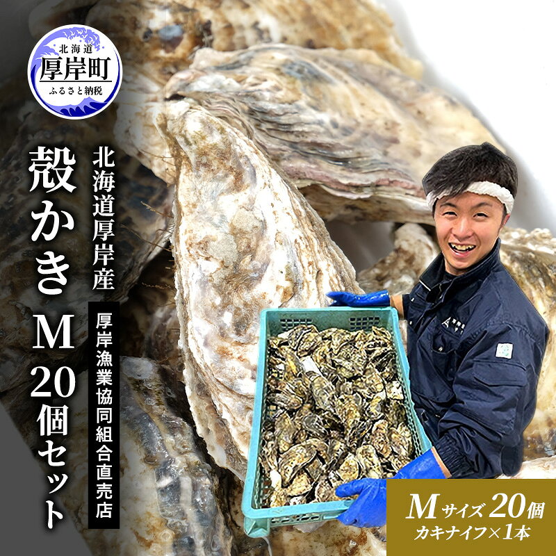 【ふるさと納税】牡蠣 殻付き 生食 M20個 北海道 厚岸産 マルえもん【厚岸漁業協同組合】カキナイフ付 [ カキ かき 生牡蠣 殻かき オイスター 冷蔵 ］